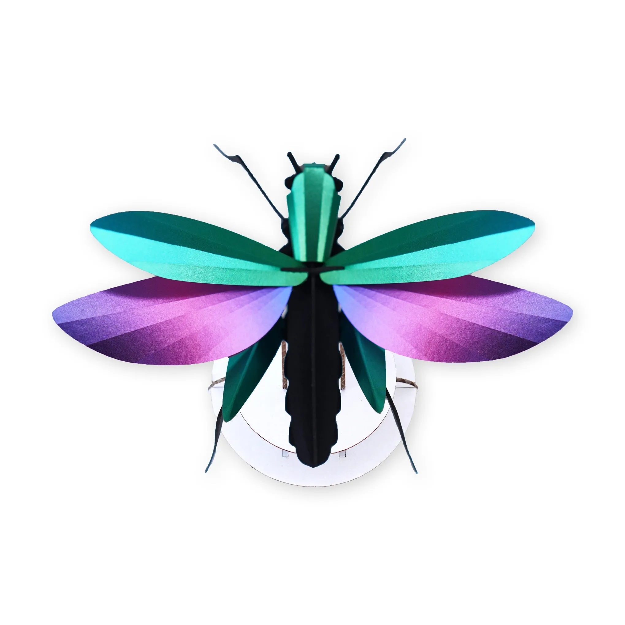 Assembli Shop DIY Reflective Paper Kit - Grasshopper