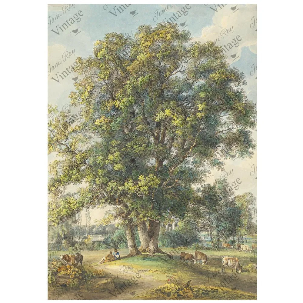 Cows Under A Tree A4 Rice Paper - JRV Stencil Co