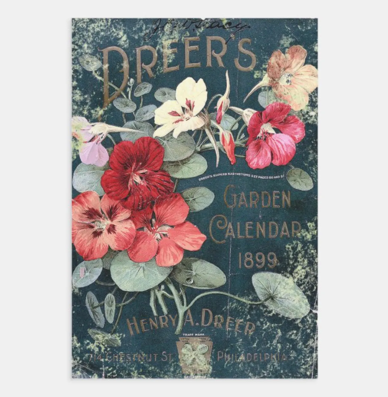 Designer Heavyweight Wrapping/Decoupage Single Sheets | 19” x 29” {Multiple Designs}