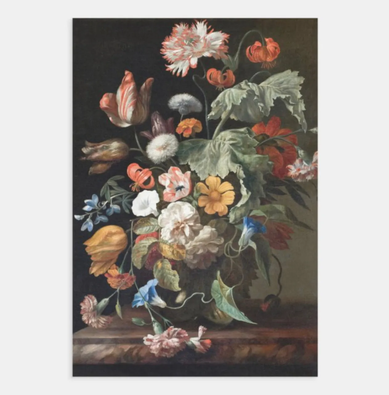 Designer Heavyweight Wrapping/Decoupage Single Sheets | 19” x 29” {Multiple Designs}