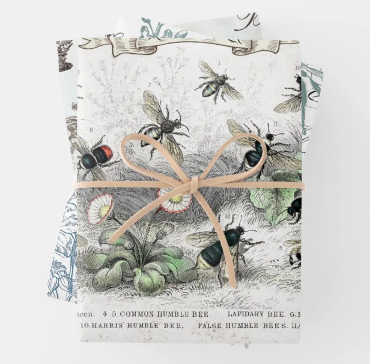 Designer Heavyweight Wrapping/Decoupage Single Sheets | 19” x 29” {Multiple Designs}