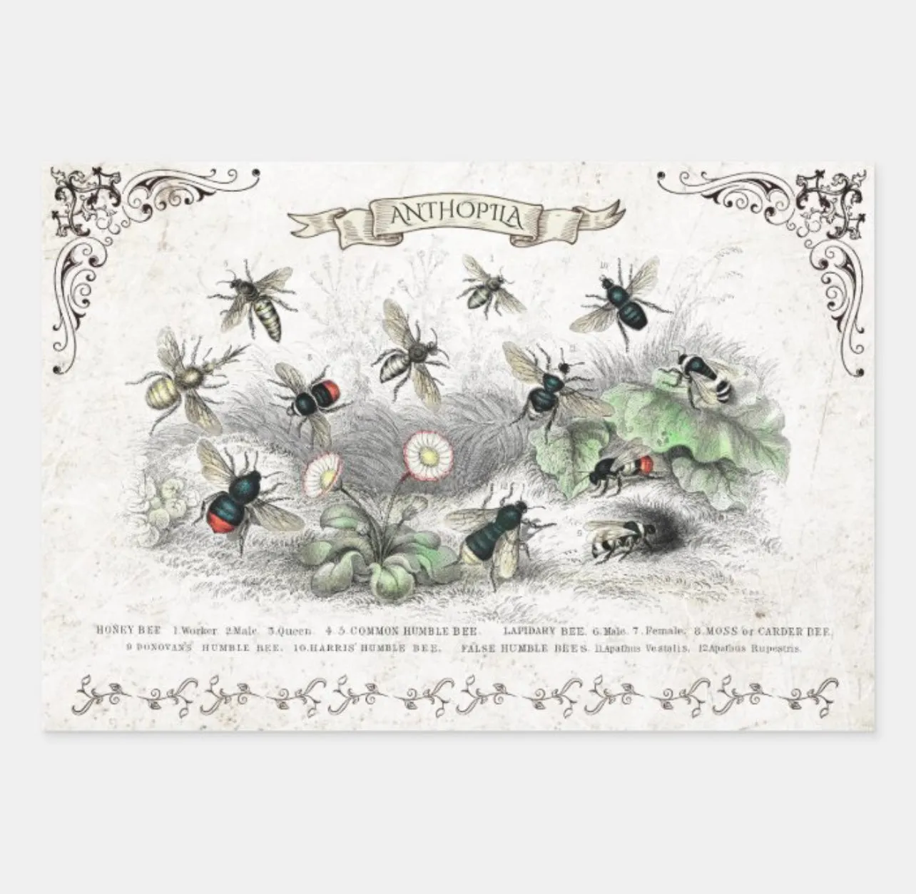 Designer Heavyweight Wrapping/Decoupage Single Sheets | 19” x 29” {Multiple Designs}