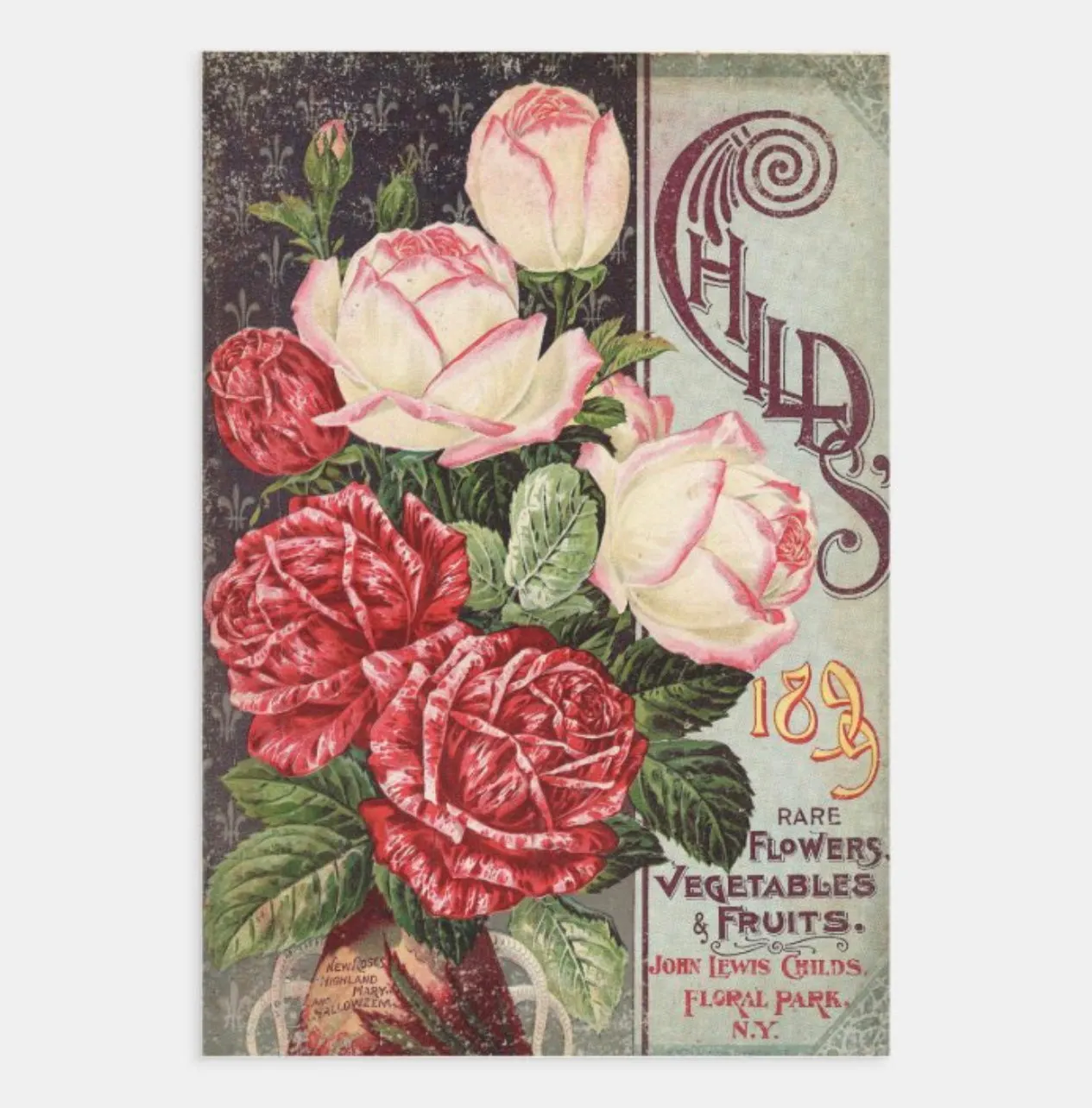 Designer Heavyweight Wrapping/Decoupage Single Sheets | 19” x 29” {Multiple Designs}