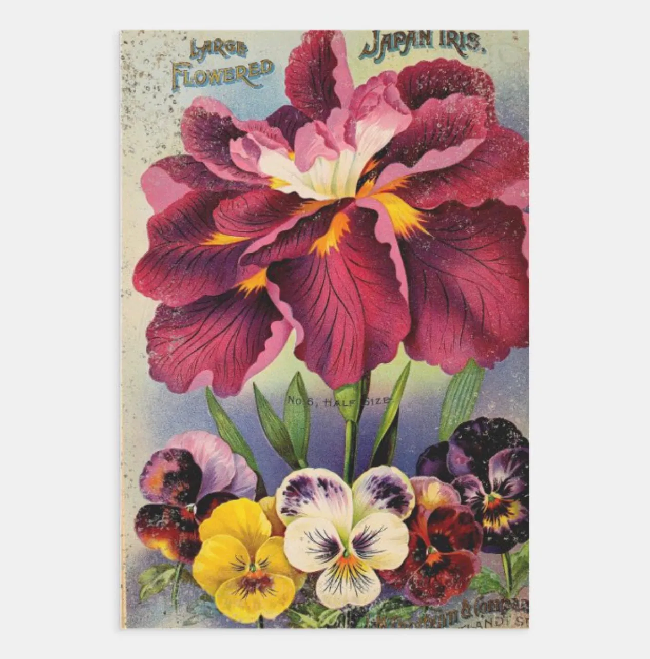 Designer Heavyweight Wrapping/Decoupage Single Sheets | 19” x 29” {Multiple Designs}