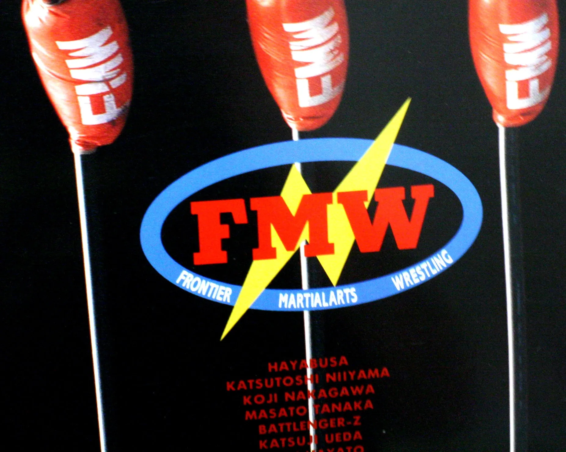 FMW Guide Book 1995