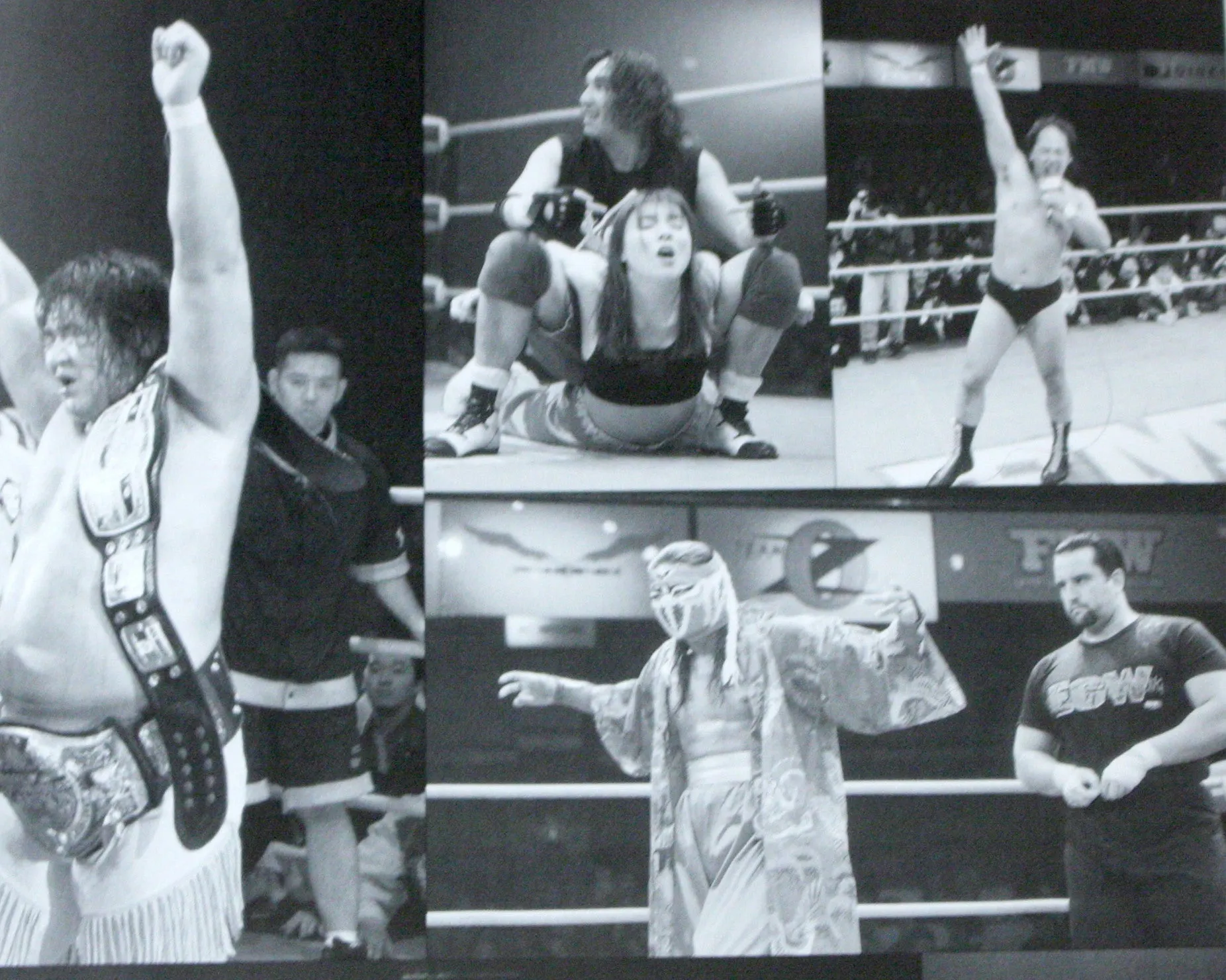 FMW Guide Book 1999