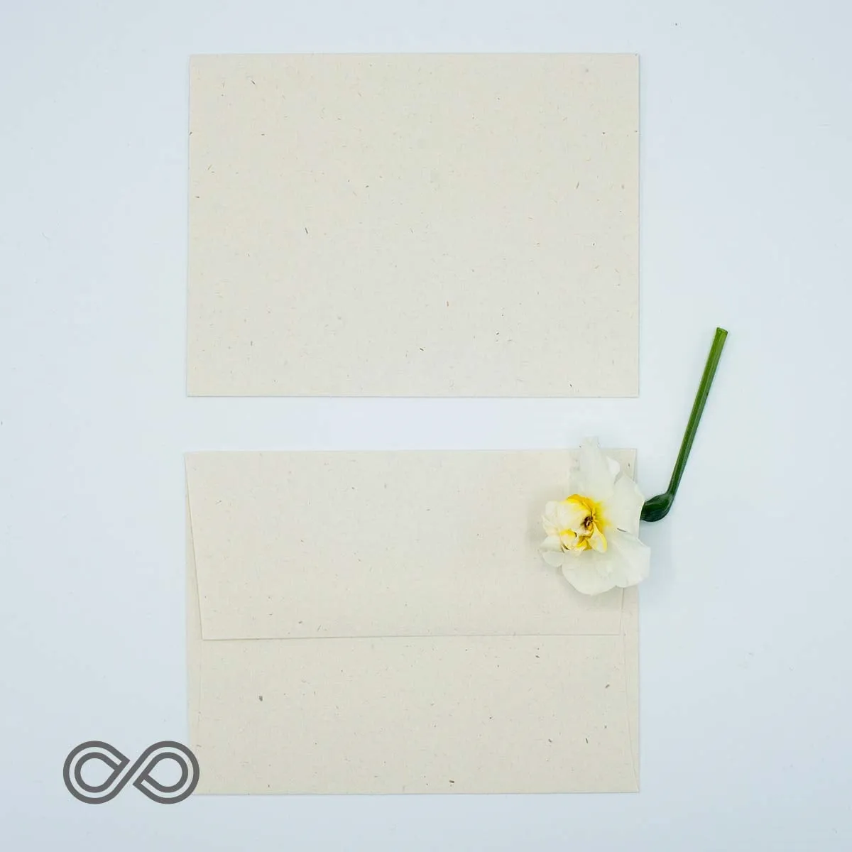 Tree-Free Hemp Envelopes