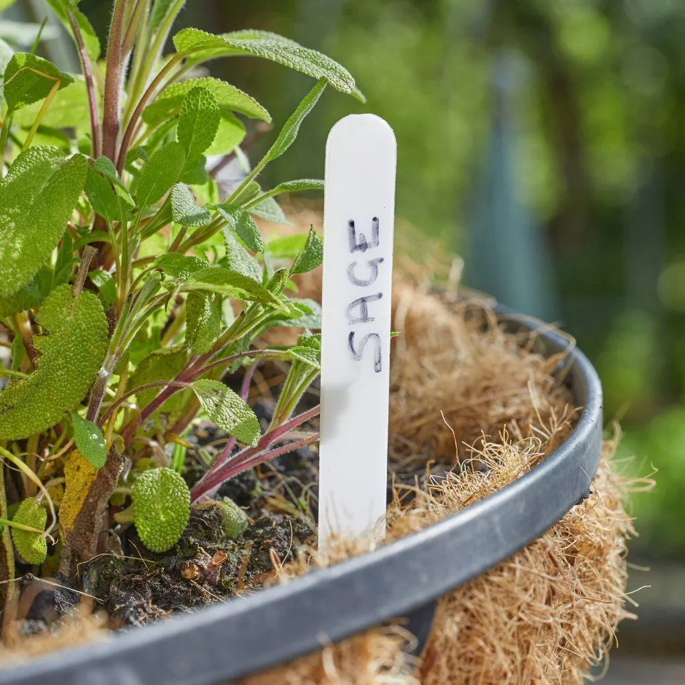 Useful 10cm Rot-Proof Plant Labels (Pack of 50)