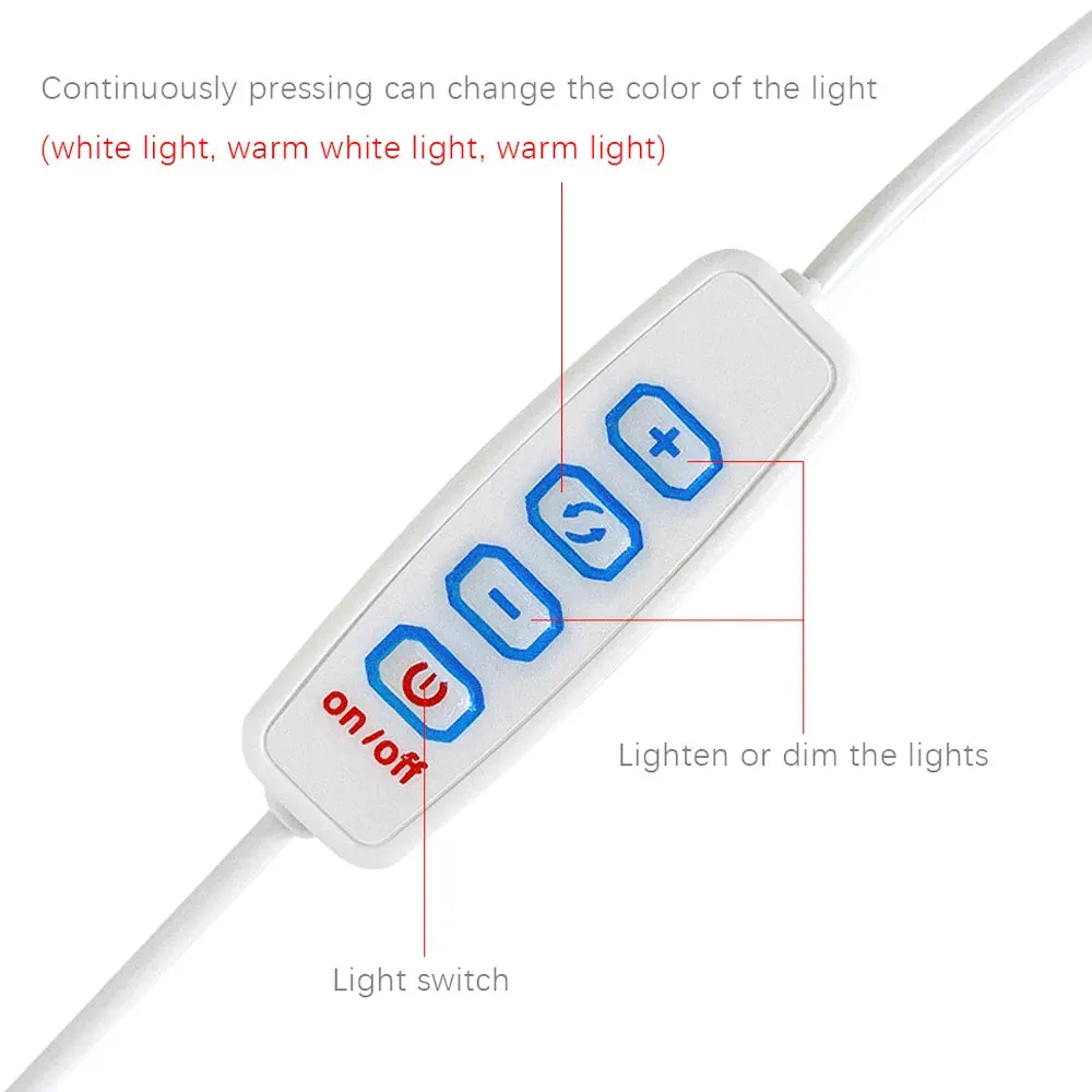 Zenitsu Painting Design 3D Night Light